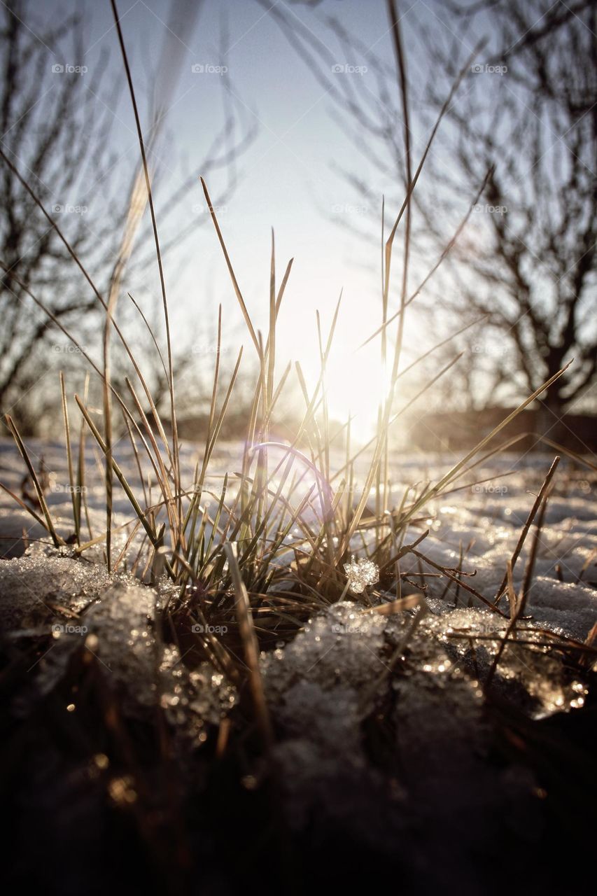 After the snow is spring.