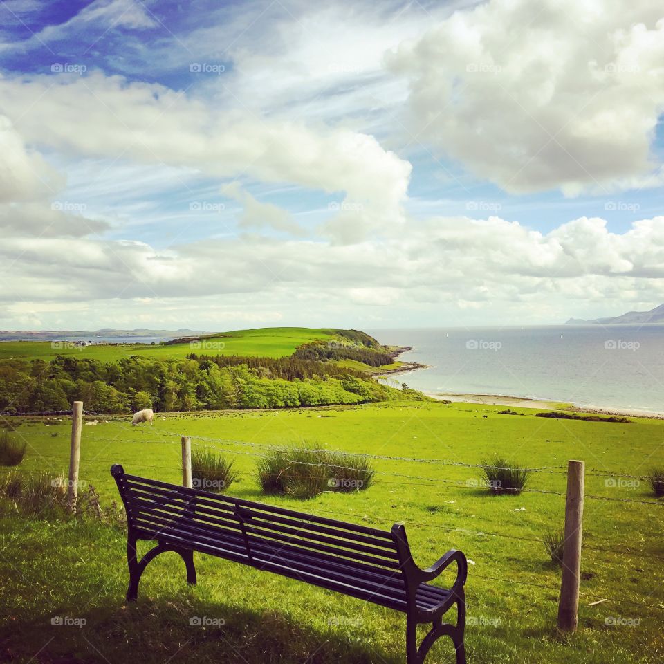 Scenic view of grassy field and sea