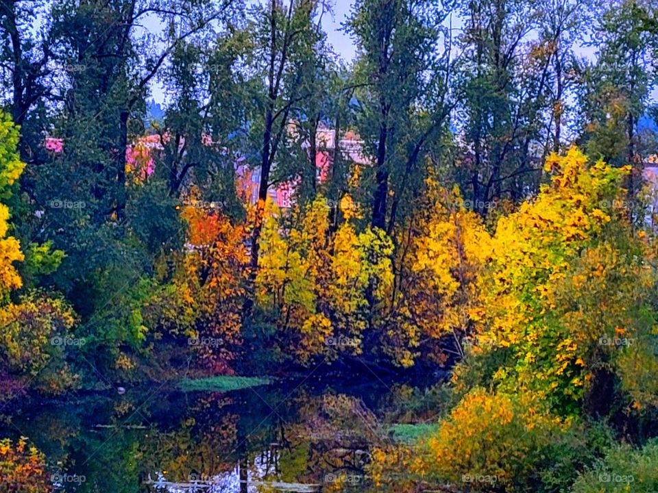 On a bridge over the Willamette Valley in Independence Oregon