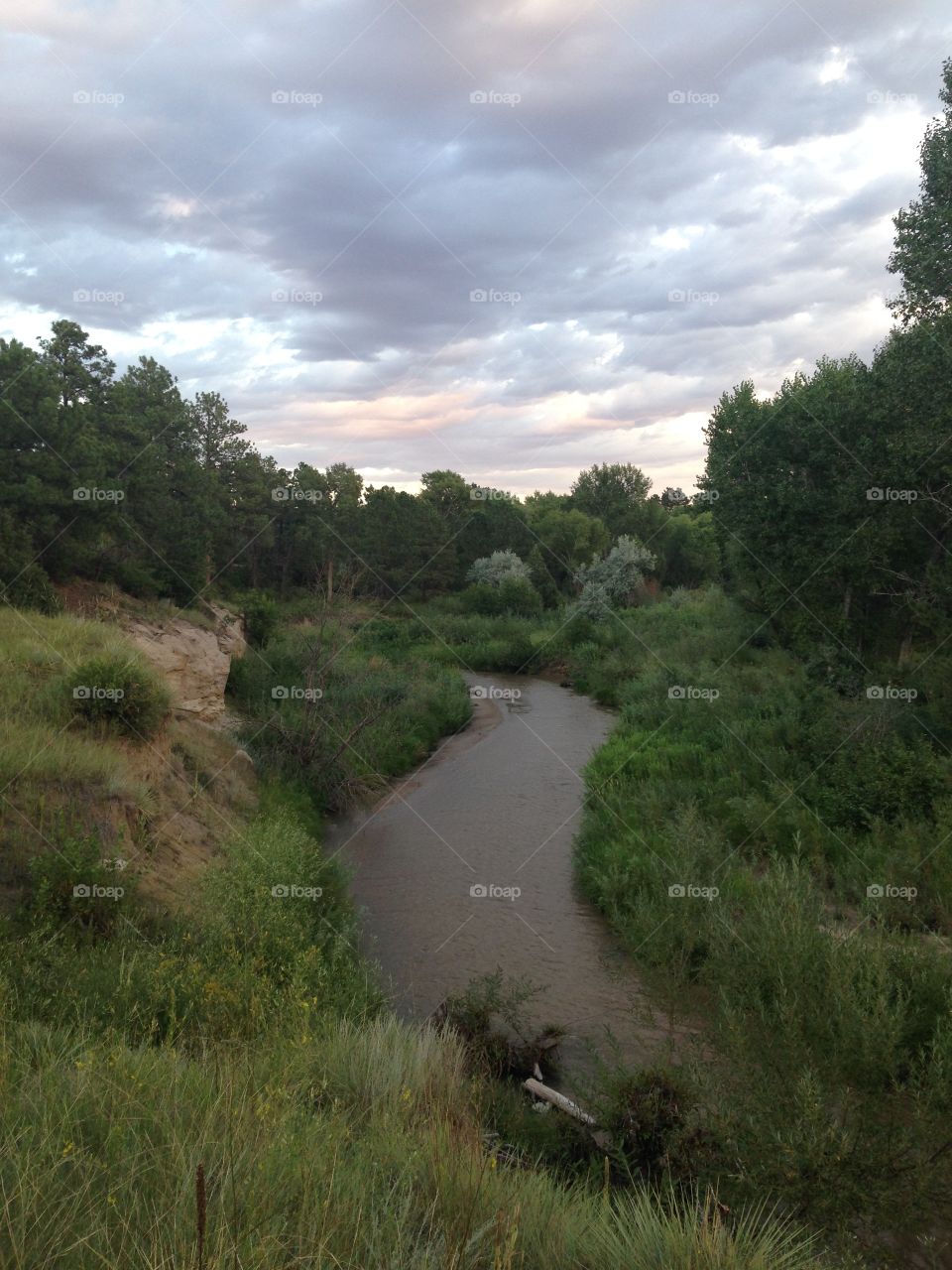 Quiet creek