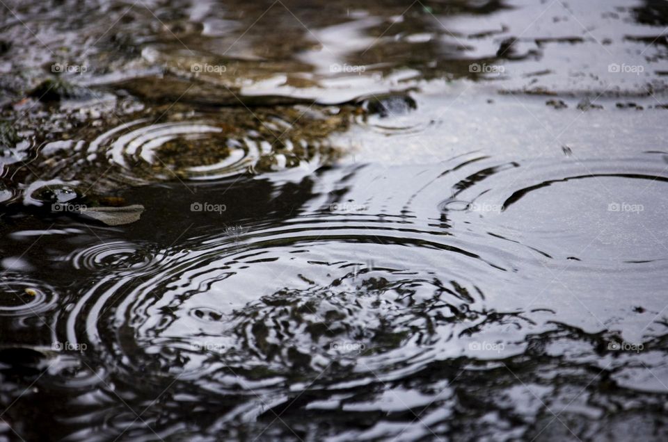 Raining day, street puddle concentric circles