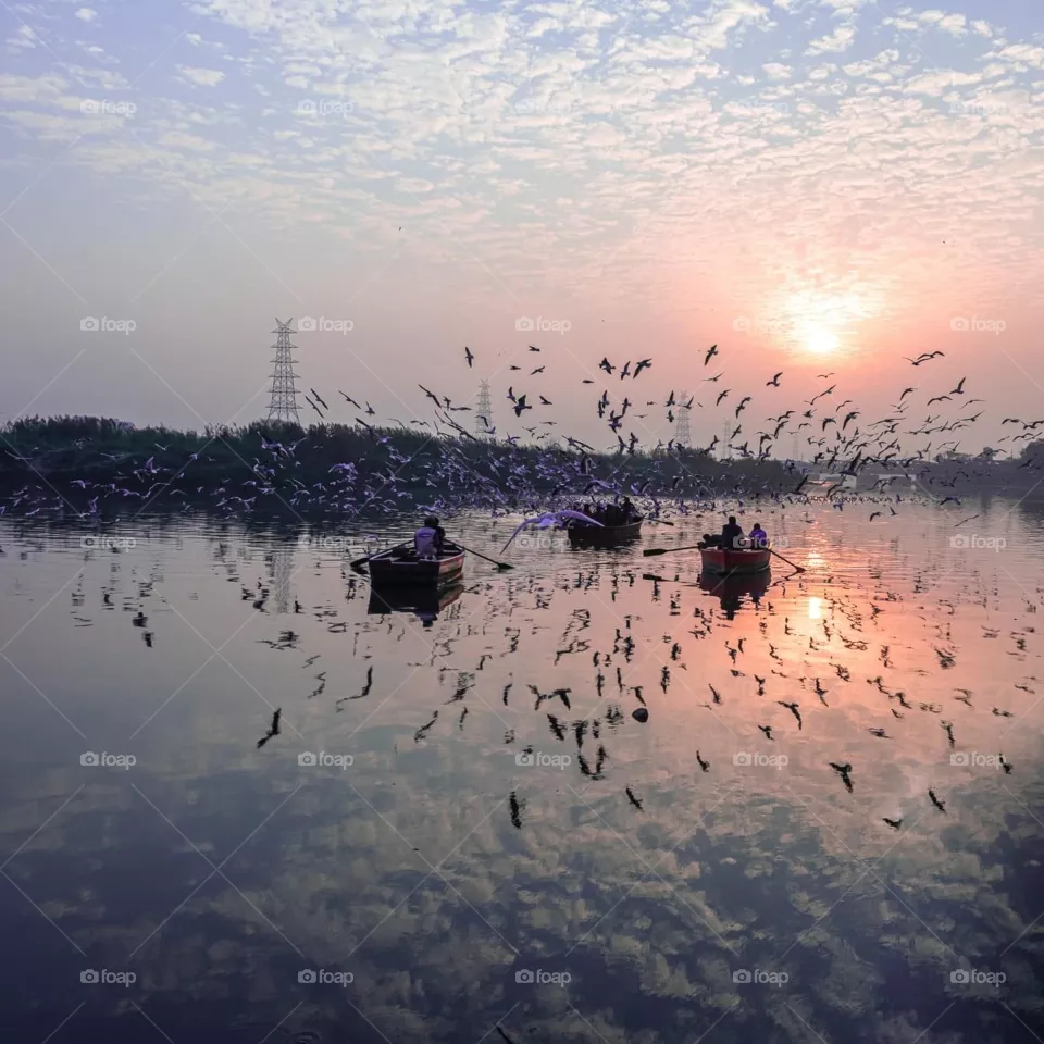 Sunrise 