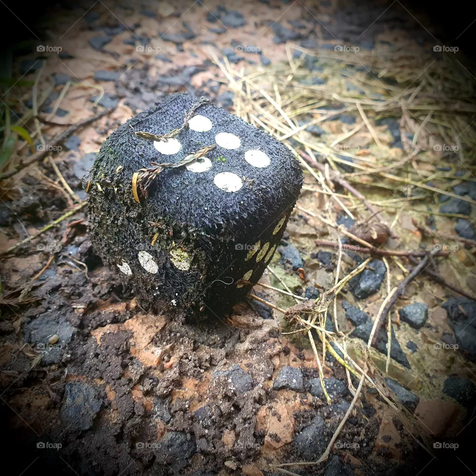 Black die outside on tiles.