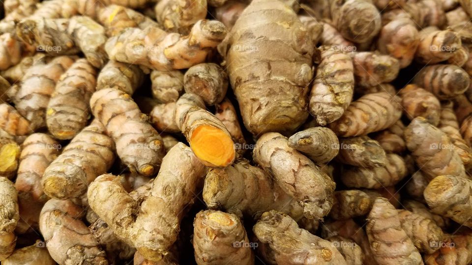 Fresh Turmeric roots