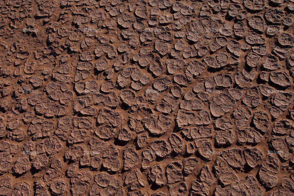 Dried river bed close up