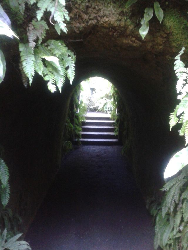 tunnel