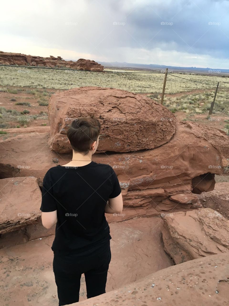 Looking Across the Land 