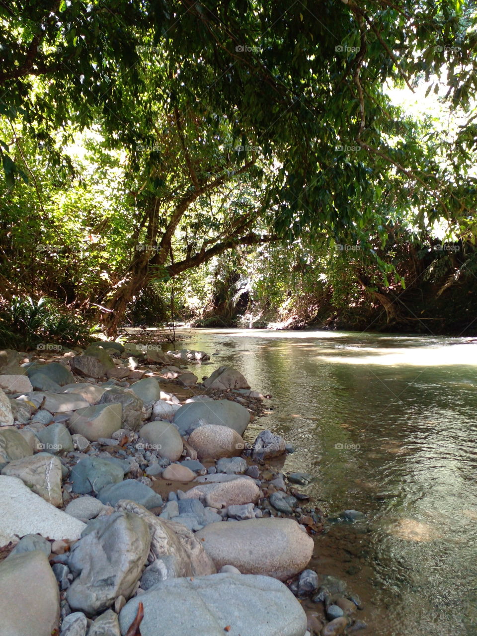 wonderful evening by the river..