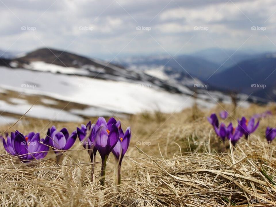 Красота гор