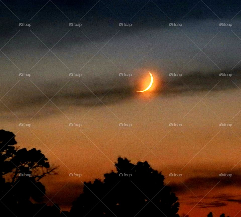 Crescent Moon
