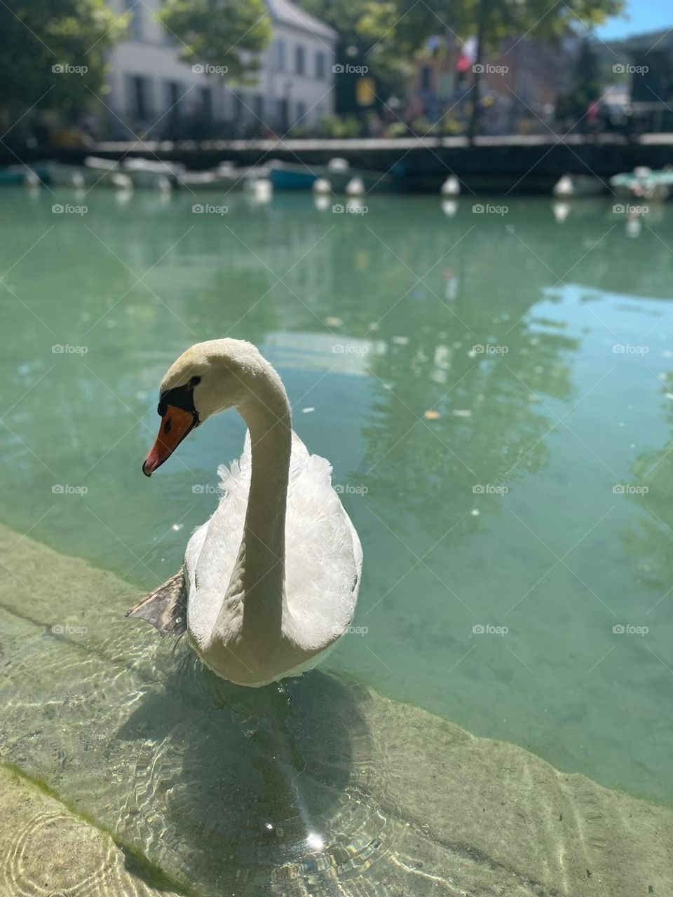 Waltzing on the water