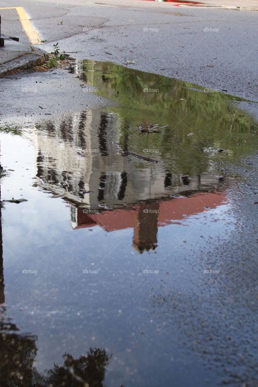 Puddle picture