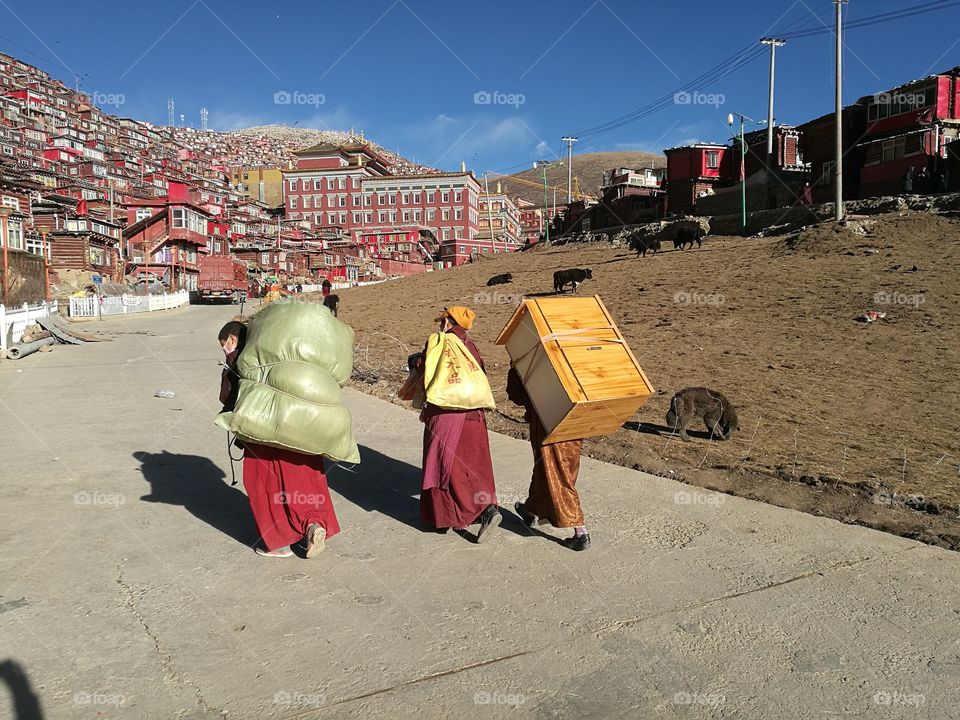 Se Da Buddhist Monastery and School in Sichuan Province, China.
Se Da is currently the largest Tibetan Buddhist school in the world and not open to westerners.