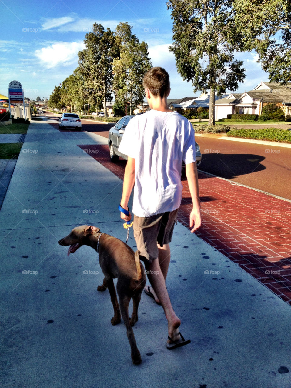 street dog boy boy walking dog by gdyiudt