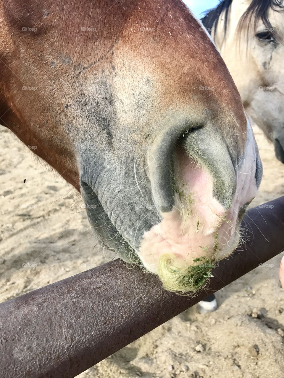 Grassy mustache 