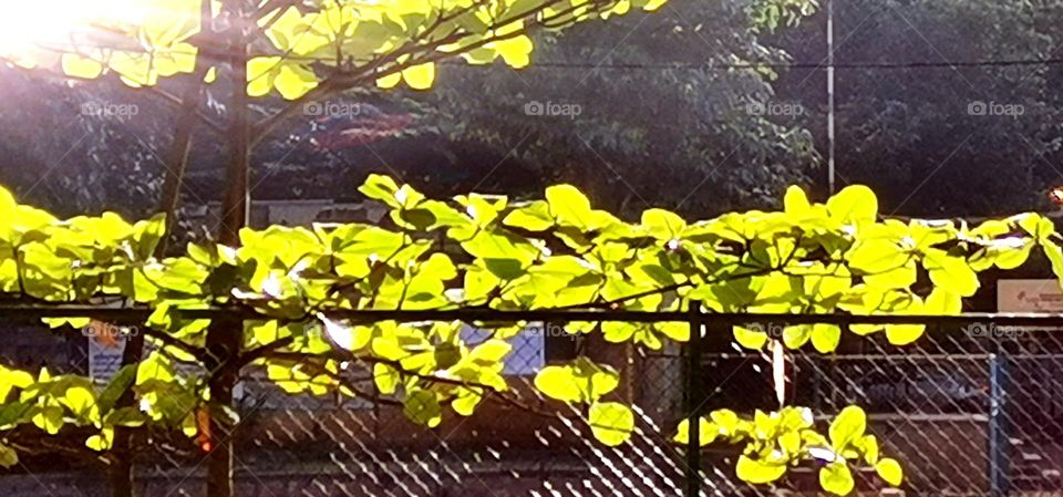 All my photos captured in journey time