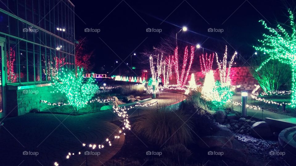 Nicholas Conservatory holiday lights