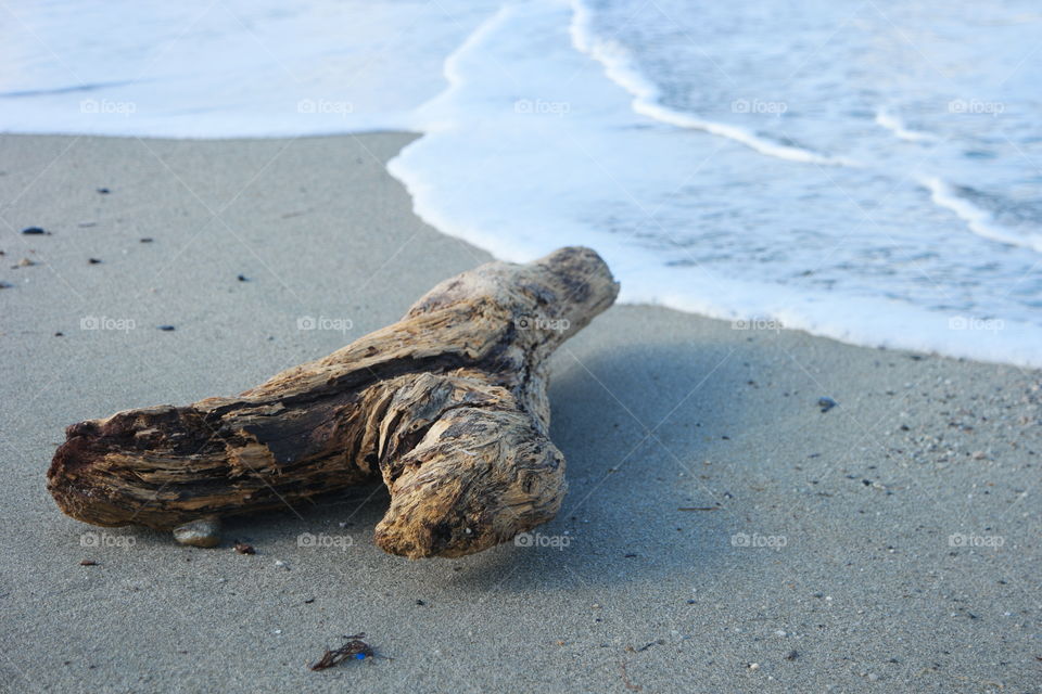 trunk at sea