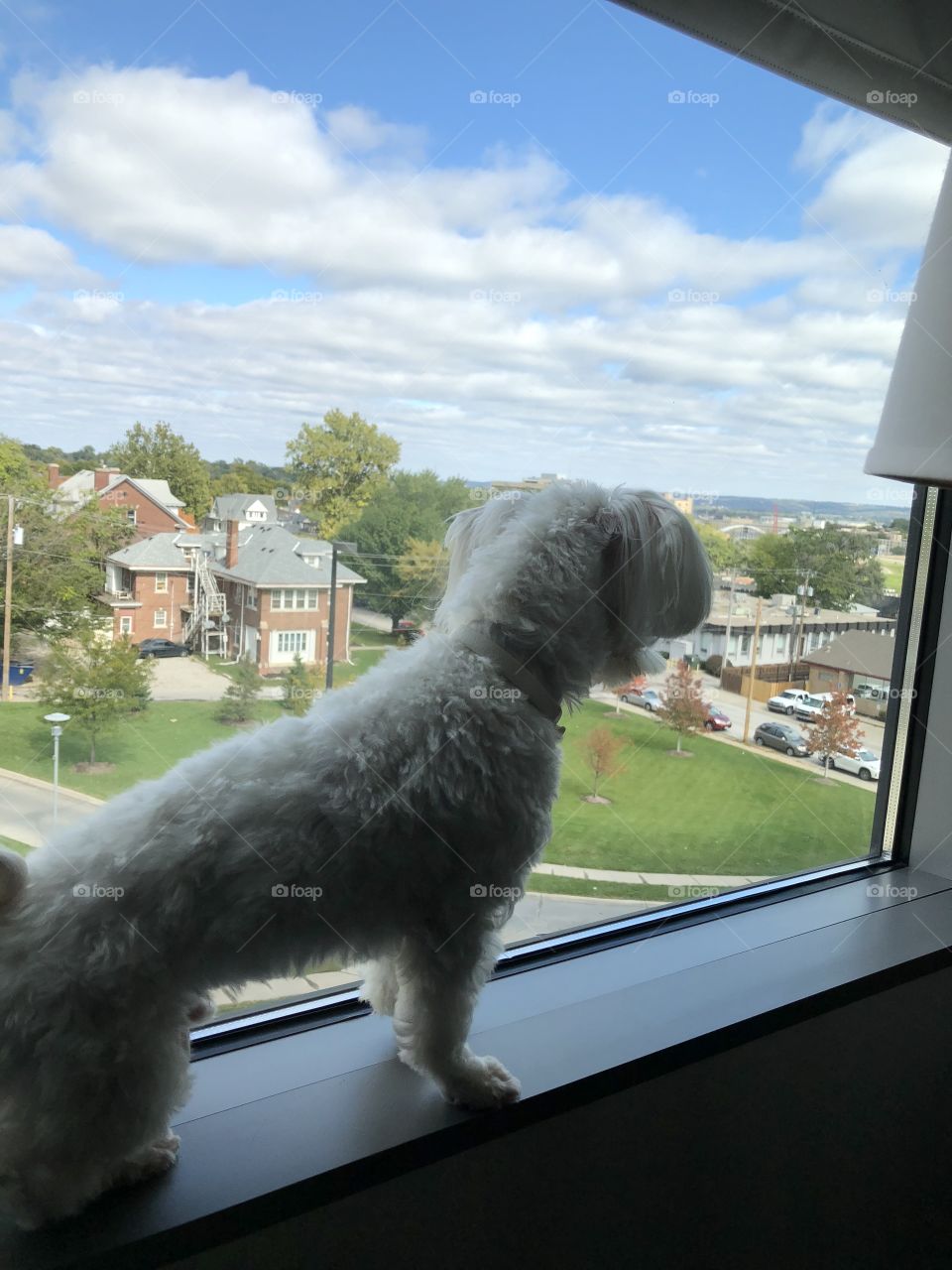 Enjoying the view from the hotel window 