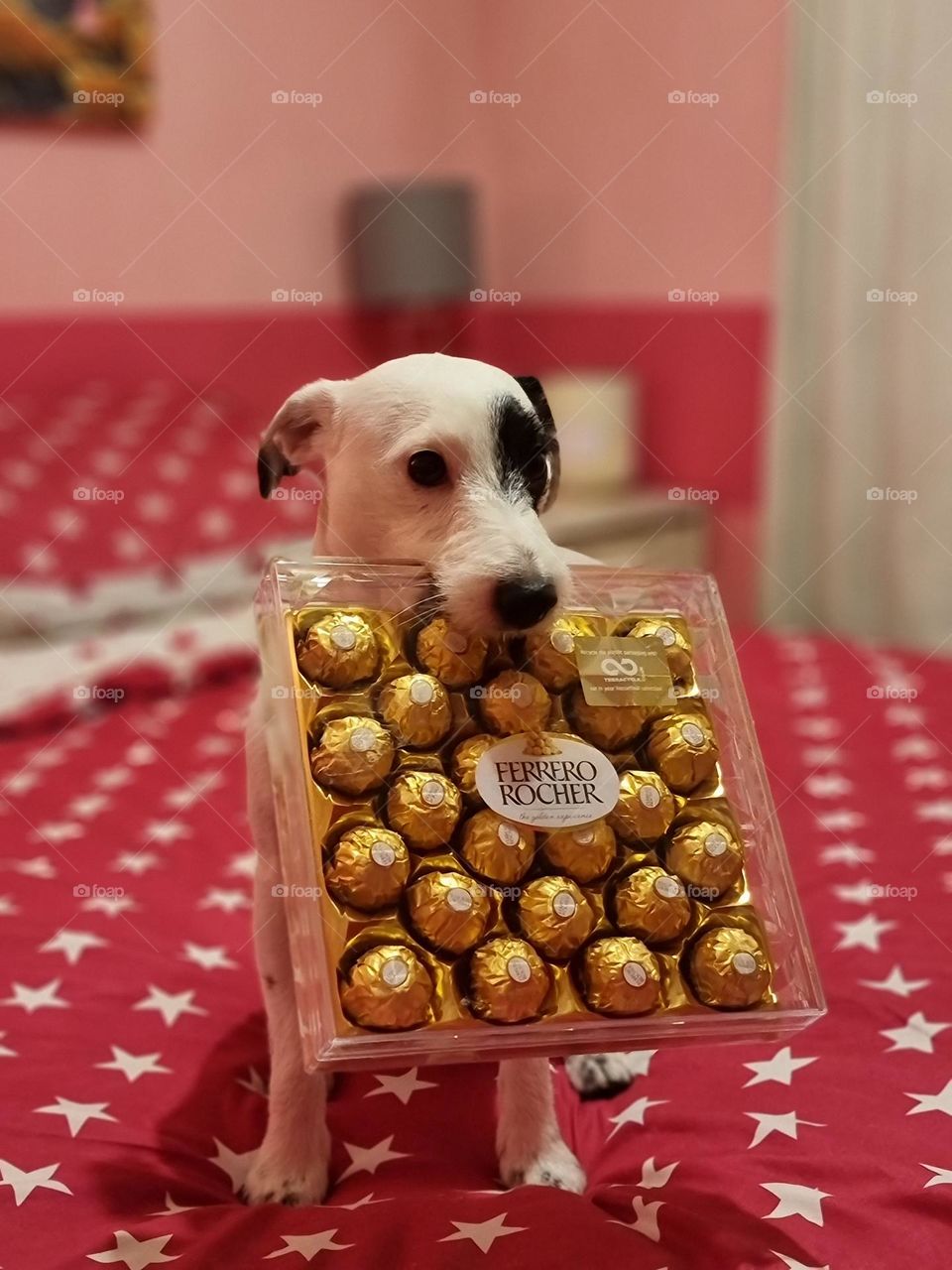 Ferrero Rocher