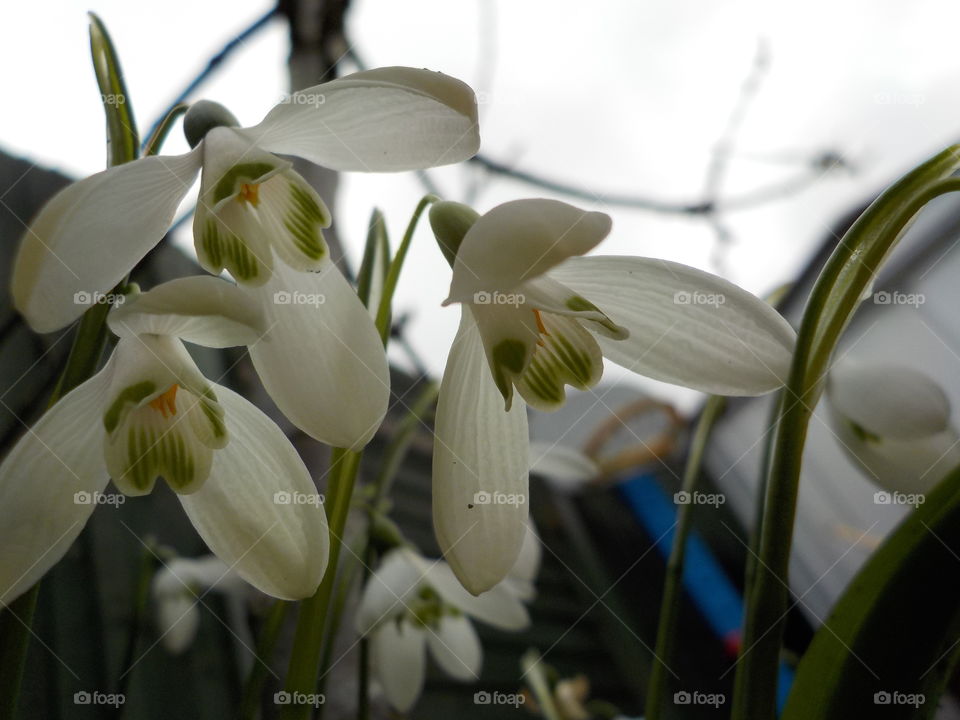 Spring is on the way! 