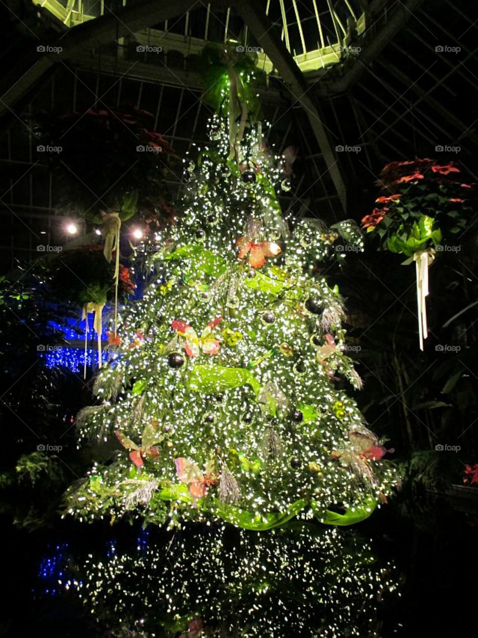 Christmas tree at Phipps Conservatory