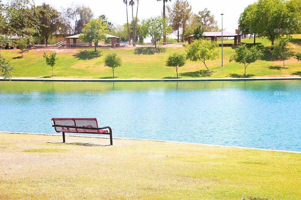 The red bench