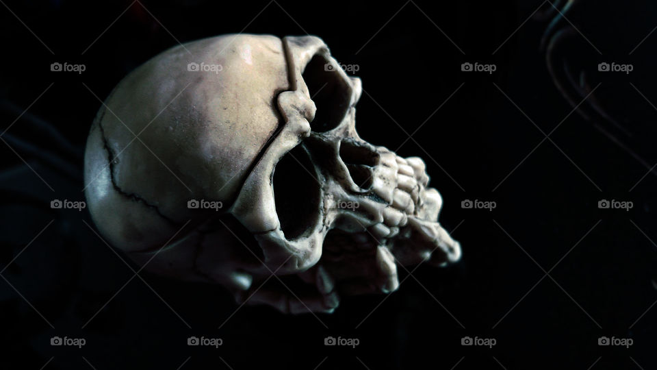 Skull in the hand