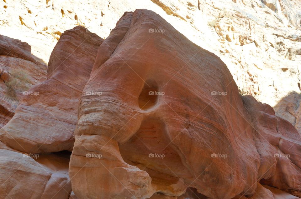 Elephant rock. Picture taken in Petra, Jordan 