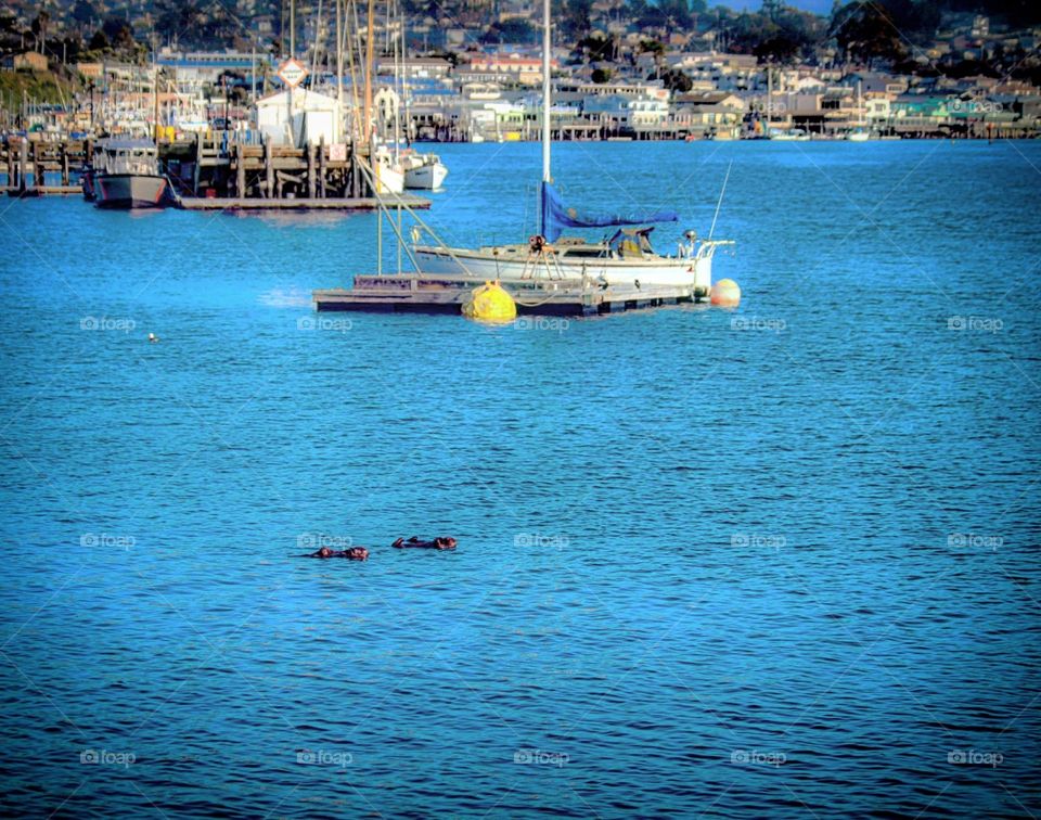 Just Relaxing in the bay