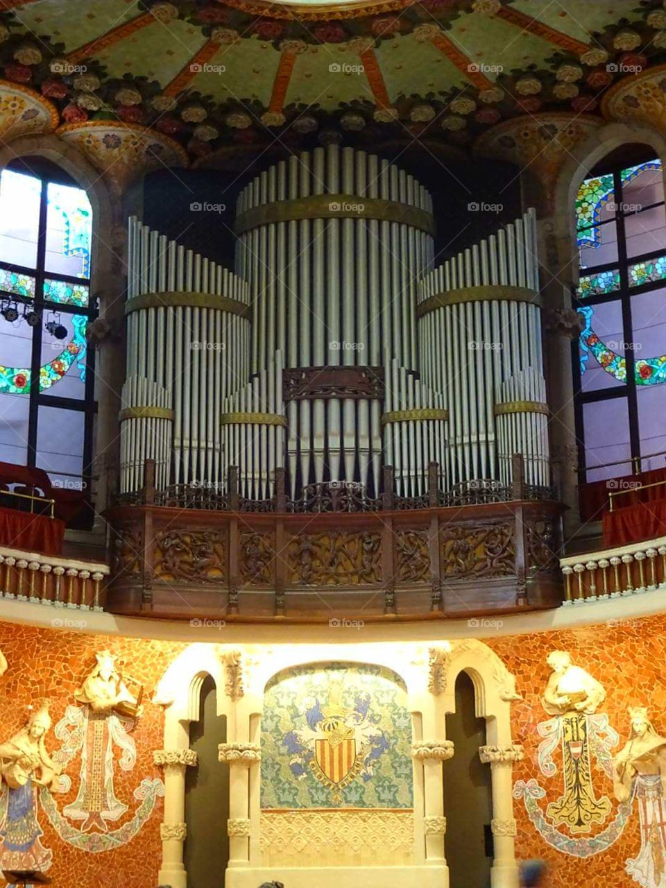 organ