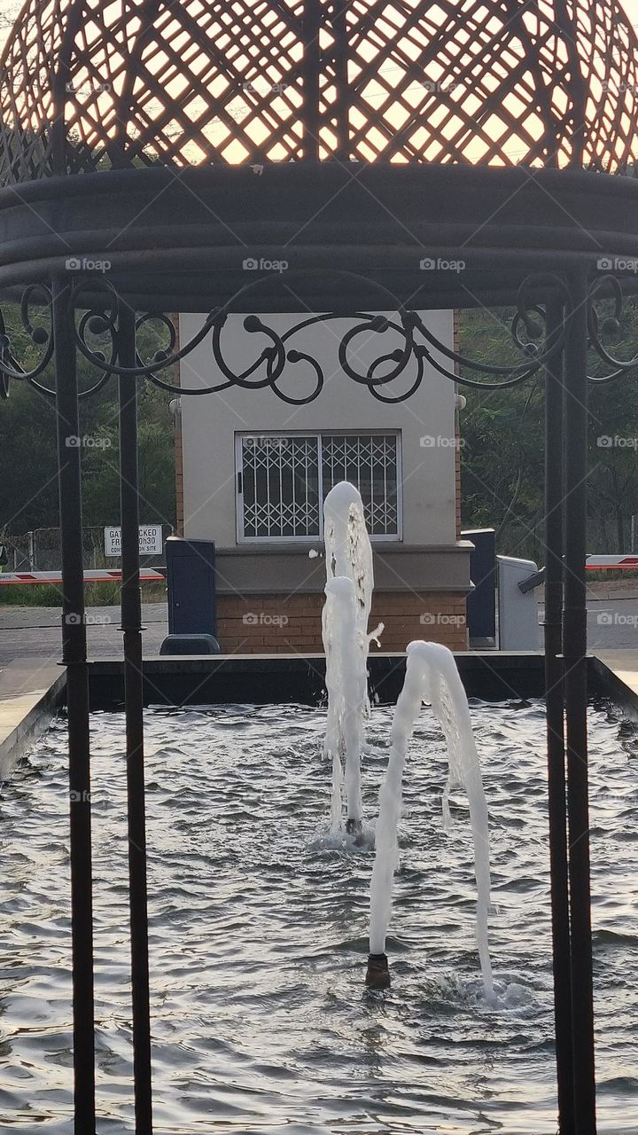 early morning at the water fountain