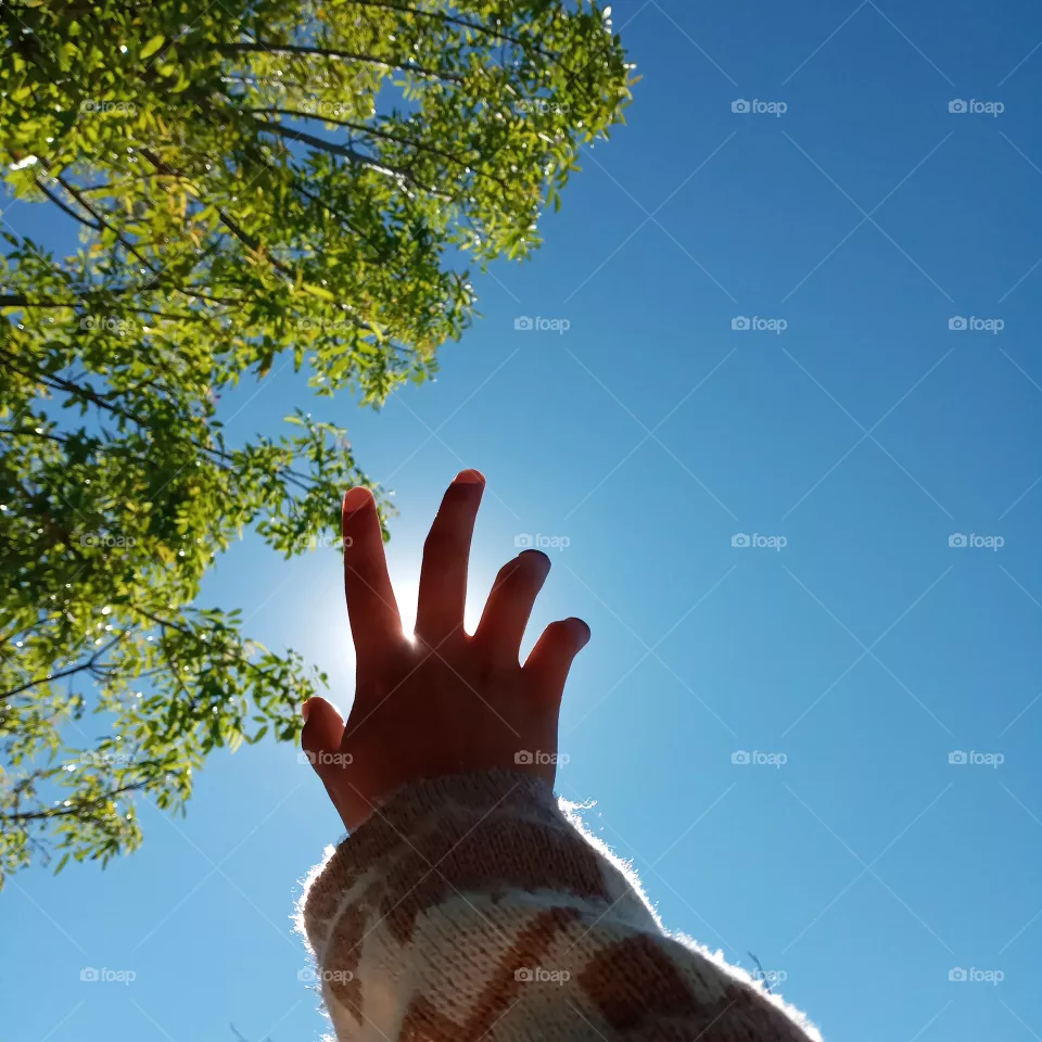 🍃☀️