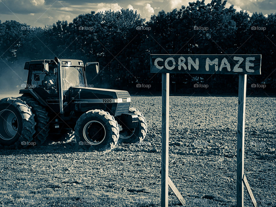 Fall Activities in the Making