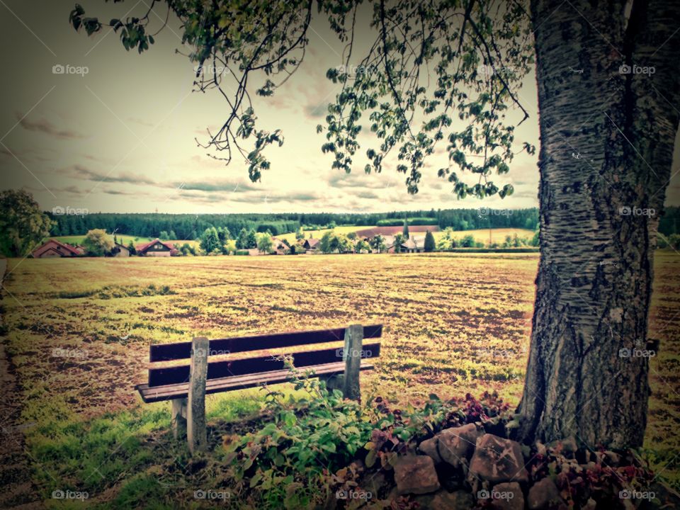 the bench. a bench on top of a hill with nice view