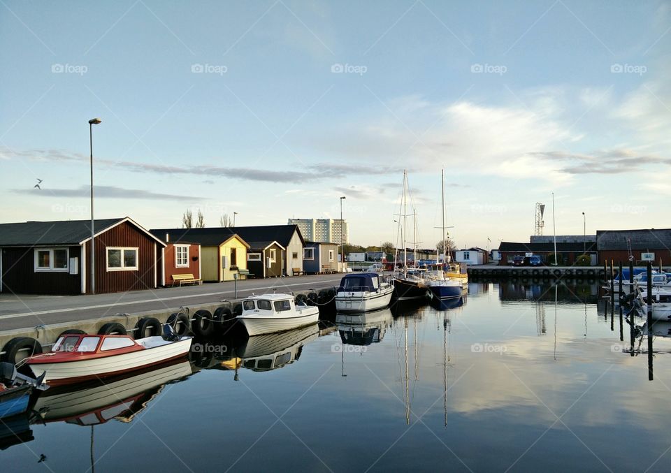 reflection of summer