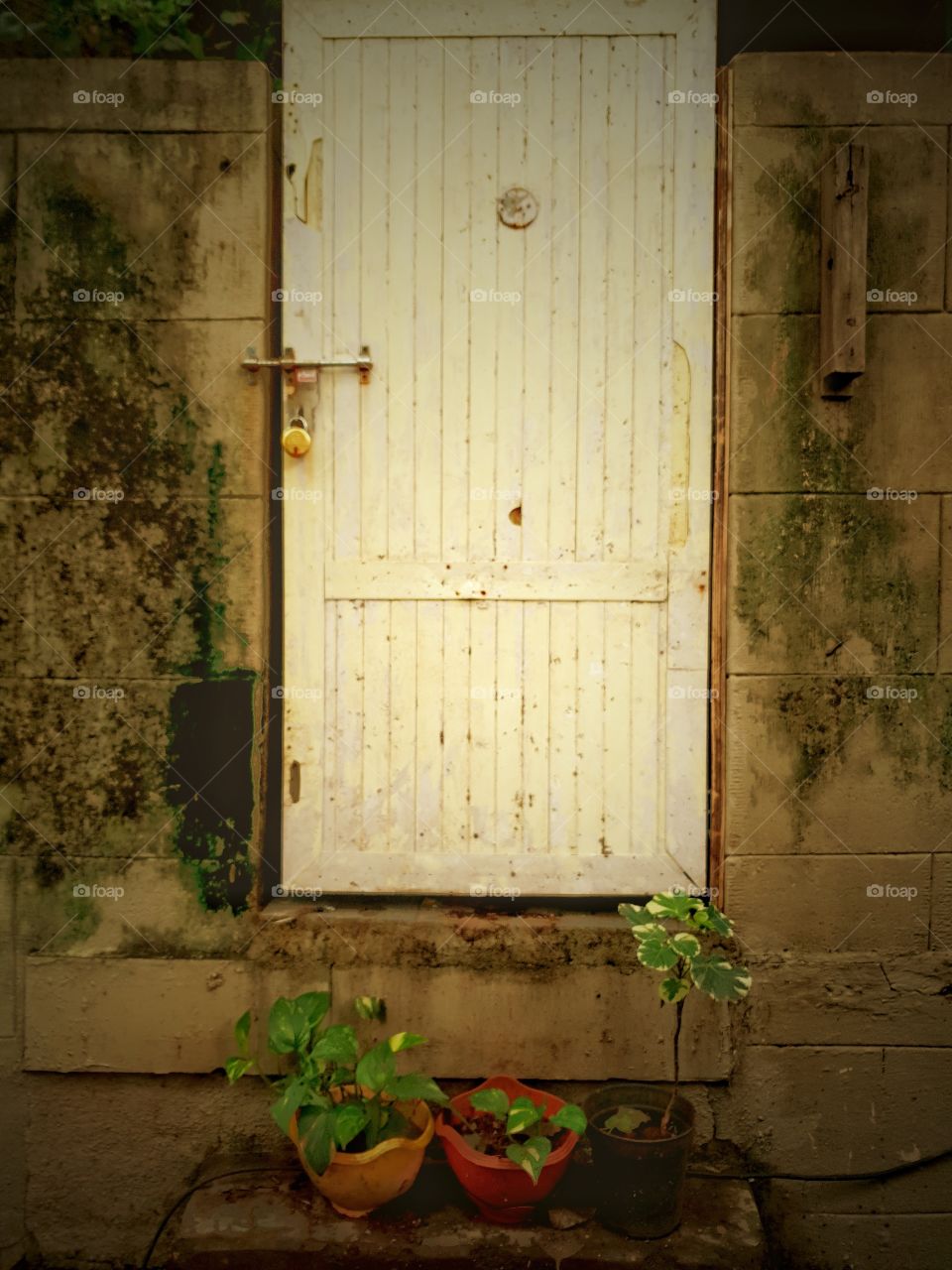 Abandoned Back Door