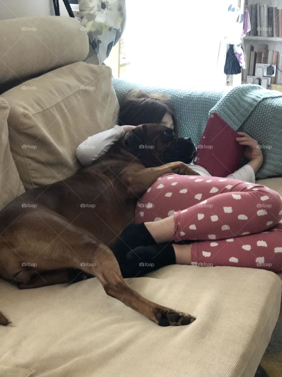 She love to watch cartoons with my daughter ❤️