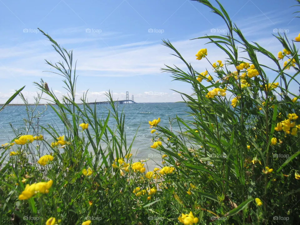 Mackinaw bridge 