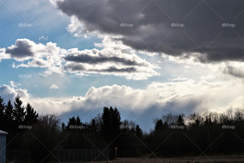tree line with huge clouds