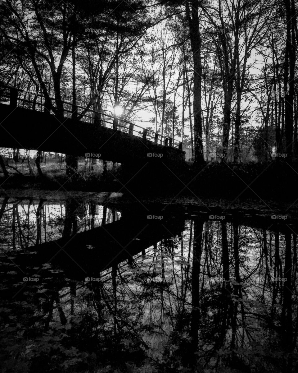 Bridge overwater