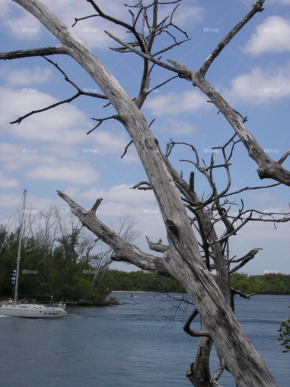 Florida intercostal waterways