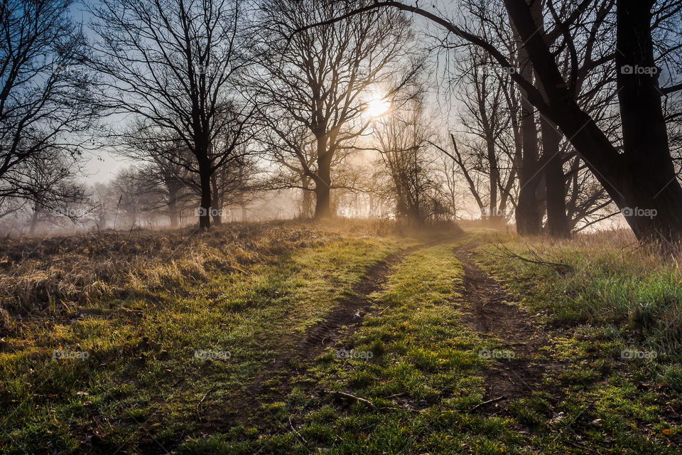 Głogów, Poland