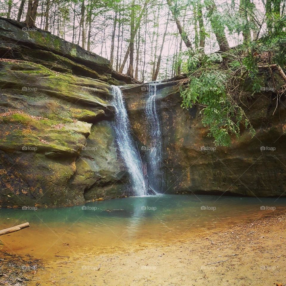 Nature's Laughter 💙