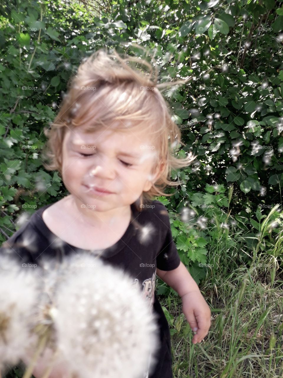 boy and dandelion