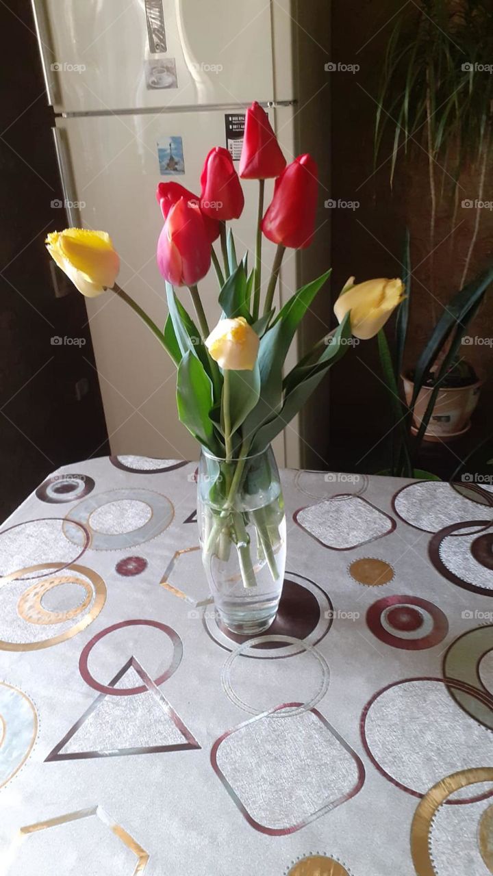 Tulips from father's garden.