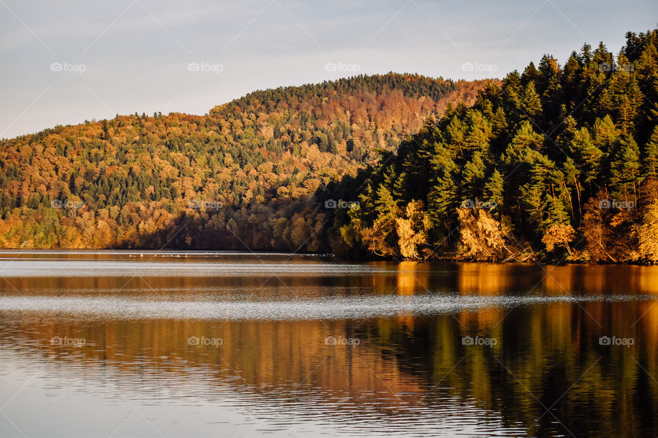 An autumn view at the lake