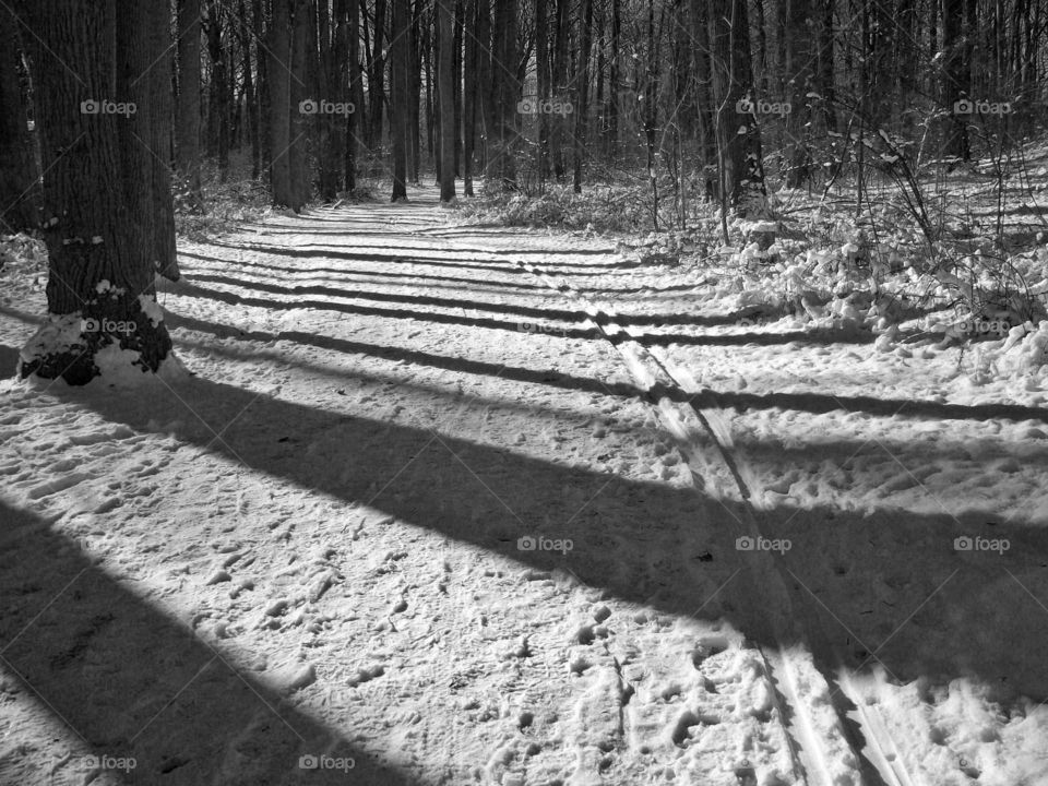 Snowy path. Running path after overnight snow fall