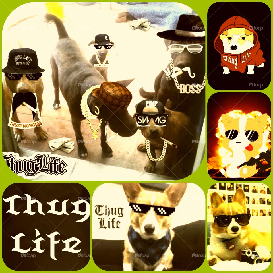 Corged out....deal with it!