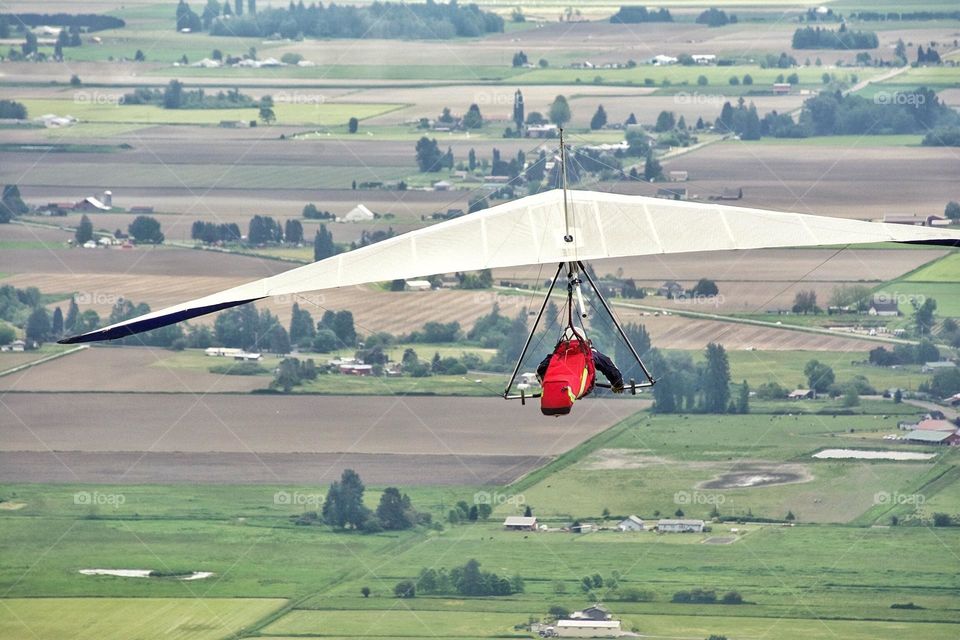 Soaring over the fields